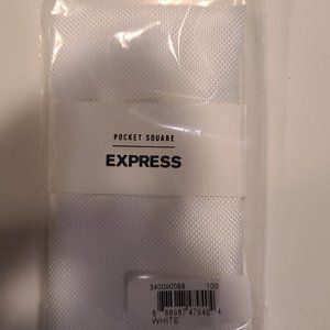 New With Tags (NWT) Express Solid Oxford Pocket Square